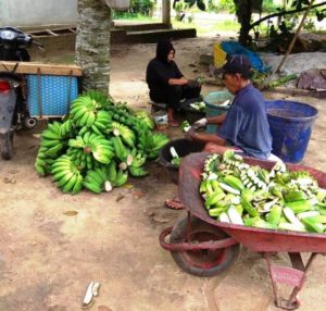 Kurangi Angka Pengangguran, Pemkab Tuba Siapkan Modal Usaha Bagi UKM dan Pelaku Industri Rumah Tangga