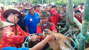 Pemkab Lamteng Tingkatkan Ekonomi Masyarakat Dengan Pengembangan Ternak