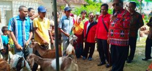 Atasi Rawan Ekonomi Dan Cegah Kemiskinan Baru, Bupati Loekman Salurkan 17 Ekor Kambing Ke Kube