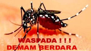 Waspada ! DBD Mulai Menyerang, Dinas Kesehatan Diminta Segera Lakukan Penanganan 