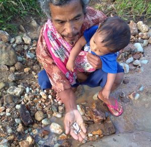 Ribuan Ikan Mati Akibat Limbah PT LSB dan LKC