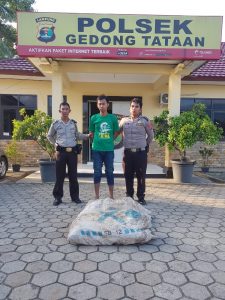 Curi Getah Karet di PTPN VII, Hendri Diamankan Polsek Gedong Tataan