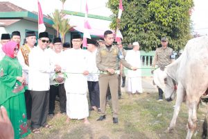Bupati Loekman Kurban Satu Ekor Sapi