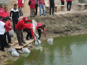 Ini Tujuan Bupati Loekman Tabur Benih Ikan