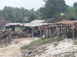 DLH Pesawaran Dikangkangi Perusahan Sagu Aren Di Kecamatan Negri Katon