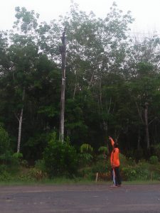 Miris, Habis Anggaran Miliaran Lampu PJU Baru Dipasang Tak Hidup