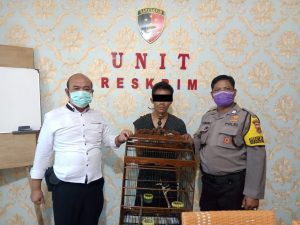 Apes, TD Ditangkap Polsek Seputih Mataram Setelah Terpergok Curi Burung 