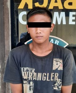 Pencuri Buah Sawit PT ASM Diancam 7 Tahun Penjara