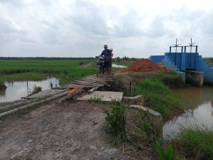 Masyarakat Mekar Jaya Butuh Jembatan Untuk Membawa Hasil Panen Pak Bupati !