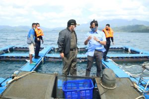 Gubernur Arinal Dorong Lobster Jadi Unggulan Sektor Perikanan Dan Dukung Pariwisata Lampung