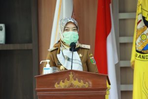 Wagub Lampung Pantau Kesiapan Pelaksanaan Pemilu Umum Kepala Daerah Serentak Ke Pemkot Bandar Lampung
