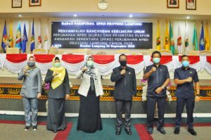 Hadiri Paripurna KUPA dan PPAS APBD-P 2020, Wagub Proyeksikan Ekonomi Tumbuh 5,3%-5,6%,