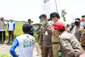 Gubernur Lampung Bersama Menteri Pertanian Resmikan Irigasi Pompa Tenaga Surya Di Tegineneng Pesawaran