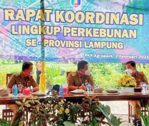 Pemerintah Provinsi Lampung Gelar Rapat Koordinasi Sektor Perkebunan