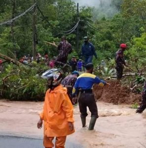 Ruas Jalan Liwa-Krui Tertimpa Longsor, Arus Lalulintas Lumpuh Total