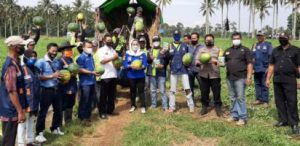 Peduli Pertanian, Anggota DPRD Siti Rahmah Panen Raya di Pringesewu