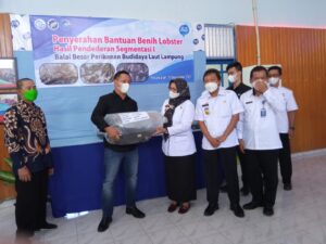 BBPBL Sosialisasi Budaya Lobster, Ujang Komarudin : Cocok Budidaya di Lampung