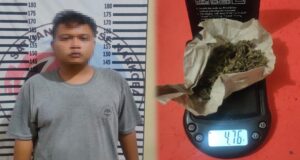 Satresnarkoba Polres Tulang Bawang Tangkap Bandar Narkotika Jenis Ganja