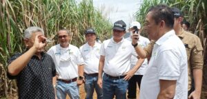 Safari Ramadhan, Dirut PTPN Grup Tanam Tebu di Bungamayang