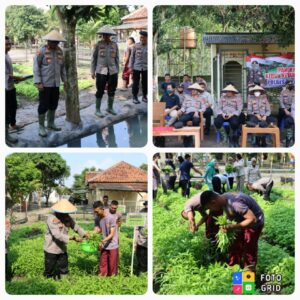 Polres Tulang Bawang Panen Perdana di Kebun Ketahanan Pangan
