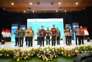 Holding PLN dengan 4 Sub-Holding Baru Diumumkan Menteri BUMN