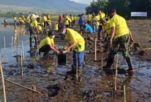 Penanganan Perubahan Iklim, ASDP Akselerasi Program Penanaman Mangrove untuk Tekan Emisi Karbon