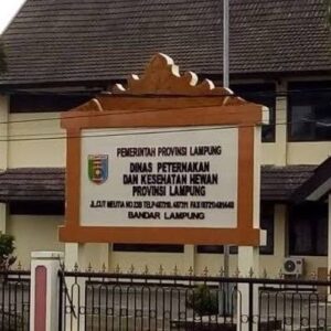 LSM Tuding Proyek dan Perjalanan Dinas Peternakan dan Kesehatan Hewan diduga KKN, Ini Bantahan Sekretaris Anwar