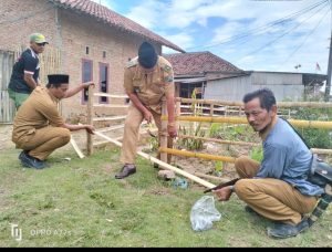 Manfaatkan Lahan Kosong, Pemdes Tanjung Baru Ajak Warga Tanam Sayur dan Buah