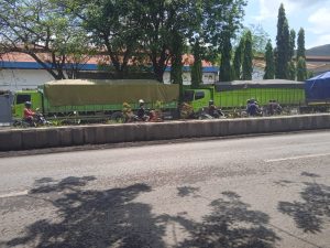 Menanti Peran Pemerintah Atasi Problem Parkir Liar