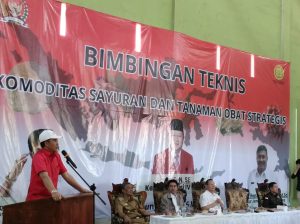 Produktivitas Kopi Turun Drastis, Parosil: Tumpang Sari Salah Satu Solusi