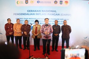 Dirjen Bina Keuda Sampaikan Arahan Mendagri Soal 10 Srategi Tangani Inflasi