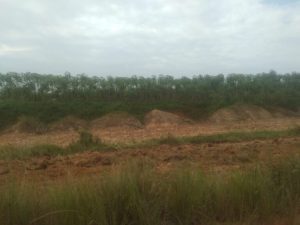 Maju Mundur Niat Unila Bangun Kampus Di Kota Baru Terganjal, Pejabat Pemrov Jawab Begini
