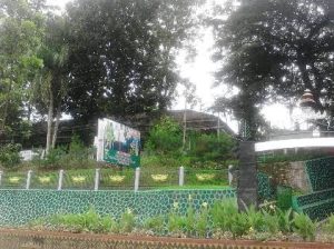 Dugaan Korupsi DAK 2021 Bantuan Lebah Madu, Kejari Tanggamus Mulai Panggil Saksi pada Dinas Kehutanan Lampung