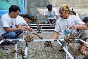 Sukarelawan Nelayan Ganjar Edukasi Ekosistem Terumbu Karang di Lampung