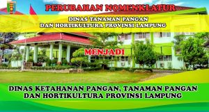 Lapor Pak Gub, Proyek Dinas Ketahanan Pangan dan Holtikultura Lampung, Diduga Jadi Bancakan dan KKN