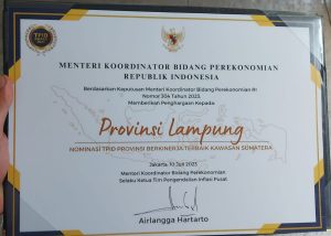 TPID Award 2022, Lampung Masuk Nominasi Provinsi Terbaik Wilayah Sumatera