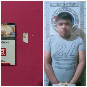 Pesta Ekstasi di Karaoke, Seorang Pemuda di Tulang Bawang Barat Ditangkap Polisi