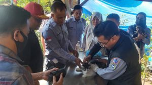 Waspada Virus Rabies, Disbunnak Lambar Sediakan 895 Vaksin Gratis