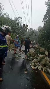 Lampung Barat di Kepung Hujan, Akibatkan Longsor dan Banjir