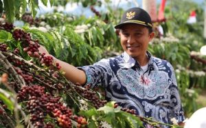 Harga Kopi Lambar Mahal, Parosil Ingatkan Waspada Pencuri Nakal