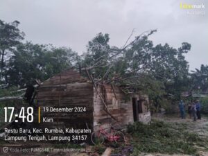 10 Rumah Rusak dan Satu Warga Meninggal Tertimpa Pohon Pisang Akibat Puting Beliung, BPBD Lamteng Sigap Salurkan Bantuan