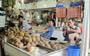 Harga Kelapa Sayur Capai Rp12.000 Ribu di Pasar