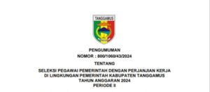 Seleksi PPPK Tanggamus Tahap II Resmi Dibuka, BKPSDM : Alokasi Kebutuhan Tetap Sama