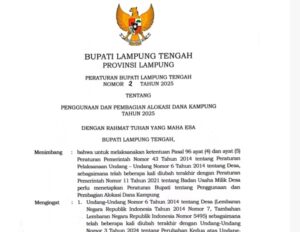 Terbentur Aturan Insentif RT Se-Lamteng Tak Bisa Dibayar Dengan DD