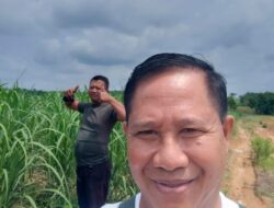 Petani Tebu Pinta Kejati Lampung Buka Blokir Rekening PT PSMI