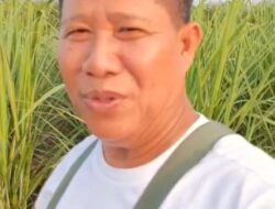 Kejati Lampung Buka Blokir Rekening PT PSMI, Petani Tebu Ucap Terima Kasih Sudah Bisa Panen