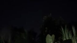 Diduga Meteor, Benda Mirip Roket Melintas di Langit Kawasan Way Kambas Lamtim, Masyarakat Kalianda Lamsel Juga Turut Melihat Hal Yang Sama