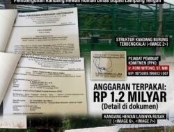 Anggaran Rp 1,2 Miliar Terbuang Sia-Sia, Proyek Kebun Hewan Disbunak Lamteng Terbengkalai