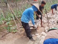 Dugaan Penyimpangan Proyek Irigasi Tersier di Pekon Kerawang Jaya, Papan Informasi Tak Lengkap dan Mutu Adukan Dipertanyakan