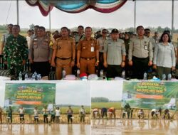 1.597 Hektare Lahan Pertanian di Putra Rumbia Didorong Perkuat Produksi Padi
